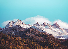 斯佳辉2-6不敌威尔逊 止步斯诺克大师赛首轮